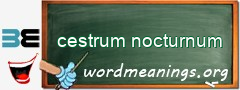 WordMeaning blackboard for cestrum nocturnum
